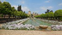 Córdoba &ndash; &copy; Francisco Javier Burgos Gutierrez (Eberhardt TRAVEL)