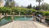 Córdoba &ndash; &copy; Francisco Javier Burgos Gutierrez (Eberhardt TRAVEL)