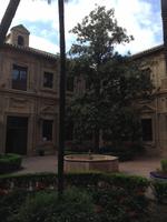 Córdoba &ndash; &copy; Francisco Javier Burgos Gutierrez (Eberhardt TRAVEL)