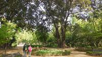 Sevilla &ndash; &copy; Francisco Javier Burgos Gutierrez (Eberhardt TRAVEL)