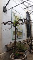 Jerez de la Frontera &ndash; &copy; Francisco Javier Burgos Gutierrez (Eberhardt TRAVEL)