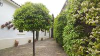 Jerez de la Frontera &ndash; &copy; Francisco Javier Burgos Gutierrez (Eberhardt TRAVEL)