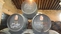 Jerez de la Frontera &ndash; &copy; Francisco Javier Burgos Gutierrez (Eberhardt TRAVEL)