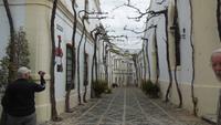 Jerez de la Frontera &ndash; &copy; Francisco Javier Burgos Gutierrez (Eberhardt TRAVEL)