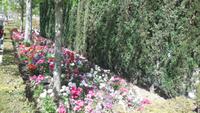 Granada &ndash; &copy; Francisco Javier Burgos Gutierrez (Eberhardt TRAVEL)