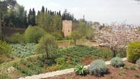Granada &ndash; &copy; Francisco Javier Burgos Gutierrez (Eberhardt TRAVEL)