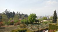 Granada &ndash; &copy; Francisco Javier Burgos Gutierrez (Eberhardt TRAVEL)
