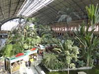 025-Madrid-Atocha-Bahnhof &ndash; &copy; Dirk Schlosser (Eberhardt TRAVEL)