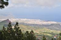 Santa Cruz de Tenerife &ndash; &copy; Martin Büchner (Eberhardt TRAVEL)
