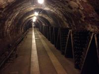 Codorniu &ndash; &copy; Francisco Javier Burgos Gutierrez (Eberhardt TRAVEL)