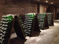Codorniu &ndash; &copy; Francisco Javier Burgos Gutierrez (Eberhardt TRAVEL)