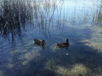 Banyoles &ndash; &copy; Francisco Javier Burgos Gutierrez (Eberhardt TRAVEL)