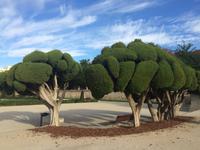 016 El Retiro Parque &ndash; &copy; Ngoc Anh Nguyen (Eberhardt TRAVEL)