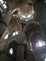 297 Salamanca &ndash; &copy; Ngoc Anh Nguyen (Eberhardt TRAVEL)