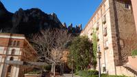 Montserrat &ndash; &copy; Karolin Schnell (Eberhardt TRAVEL)