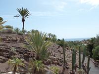 Rundreise Lanzarote, Fuerteventura – Naturpark Oasis Park