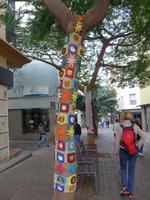 Kanaren, Teneriffa, Santa Cruz &ndash; &copy; Ria Heilmann (Eberhardt TRAVEL)