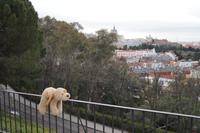 wuff &ndash; &copy; Andreas Böcker (Eberhardt TRAVEL)