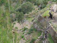 Mallorca &ndash; &copy; Ria Heilmann (Eberhardt TRAVEL)