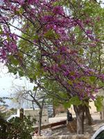 Mallorca &ndash; &copy; Ria Heilmann (Eberhardt TRAVEL)