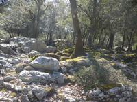 Mallorca &ndash; &copy; Ria Heilmann (Eberhardt TRAVEL)