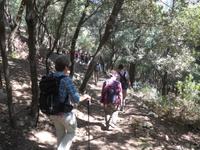 Mallorca &ndash; &copy; Ria Heilmann (Eberhardt TRAVEL)