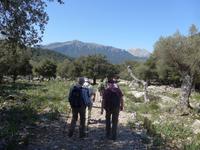 Mallorca &ndash; &copy; Ria Heilmann (Eberhardt TRAVEL)