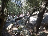 Mallorca &ndash; &copy; Ria Heilmann (Eberhardt TRAVEL)