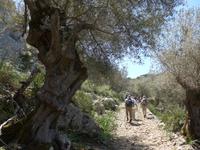 Mallorca &ndash; &copy; Ria Heilmann (Eberhardt TRAVEL)