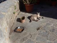 Mallorca &ndash; &copy; Ria Heilmann (Eberhardt TRAVEL)