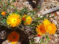 Mallorca &ndash; &copy; Ria Heilmann (Eberhardt TRAVEL)