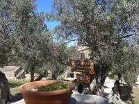 Mallorca &ndash; &copy; Ria Heilmann (Eberhardt TRAVEL)