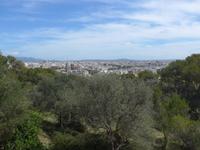 Mallorca &ndash; &copy; Ria Heilmann (Eberhardt TRAVEL)