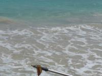 Mallorca &ndash; &copy; Ria Heilmann (Eberhardt TRAVEL)
