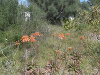 Mallorca &ndash; &copy; Ria Heilmann (Eberhardt TRAVEL)