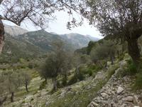 Mallorca &ndash; &copy; Ria Heilmann (Eberhardt TRAVEL)