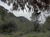 Mallorca &ndash; &copy; Ria Heilmann (Eberhardt TRAVEL)