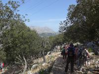 Mallorca &ndash; &copy; Ria Heilmann (Eberhardt TRAVEL)