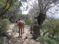 Mallorca &ndash; &copy; Ria Heilmann (Eberhardt TRAVEL)