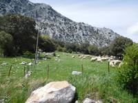 Sierra de Grazalema (42)