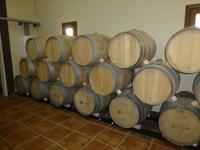 Bodega Joaquin Fernandez &ndash; &copy; Ralf Kuchenbecker (Eberhardt TRAVEL)