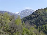 Capileira &ndash; &copy; Ralf Kuchenbecker (Eberhardt TRAVEL)