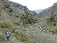 Capileira &ndash; &copy; Ralf Kuchenbecker (Eberhardt TRAVEL)