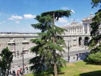Singlereise: Madrid erleben! 5 Tage Städtereise Madrid mit Ausflügen nach Toledo, El Escorial und Segovia &ndash; &copy; Benjamin Rodriguez Manzanares (Eberhardt TRAVEL)
