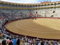 Singlereise: Madrid erleben! 5 Tage Städtereise Madrid mit Ausflügen nach Toledo, El Escorial und Segovia &ndash; &copy; Benjamin Rodriguez Manzanares (Eberhardt TRAVEL)