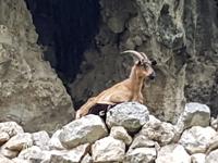 Wanderreise Nord-Spanien – Jakobsweg und Atlantik: 9 Tage Wanderreise in Nordspanien mit San Sebastian – Picos de Europa – Jakobsweg – Santiago de Compostela – Atlantikküste – Porto &ndash; &copy; Benjamin Rodriguez Manzanares (Eberhardt TRAVEL)