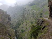 Wanderreise Nord-Spanien – Jakobsweg und Atlantik: 9 Tage Wanderreise in Nordspanien mit San Sebastian – Picos de Europa – Jakobsweg – Santiago de Compostela – Atlantikküste – Porto &ndash; &copy; Benjamin Rodriguez Manzanares (Eberhardt TRAVEL)