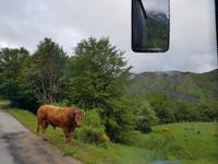Wanderreise Nord-Spanien – Jakobsweg und Atlantik: 9 Tage Wanderreise in Nordspanien mit San Sebastian – Picos de Europa – Jakobsweg – Santiago de Compostela – Atlantikküste – Porto &ndash; &copy; Benjamin Rodriguez Manzanares (Eberhardt TRAVEL)
