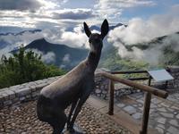 Wanderreise Nord-Spanien – Jakobsweg und Atlantik: 9 Tage Wanderreise in Nordspanien mit San Sebastian – Picos de Europa – Jakobsweg – Santiago de Compostela – Atlantikküste – Porto