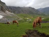 Wanderreise Nord-Spanien – Jakobsweg und Atlantik: 9 Tage Wanderreise in Nordspanien mit San Sebastian – Picos de Europa – Jakobsweg – Santiago de Compostela – Atlantikküste – Porto &ndash; &copy; Benjamin Rodriguez Manzanares (Eberhardt TRAVEL)
